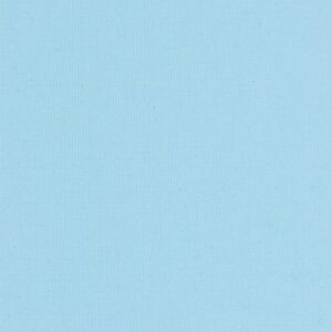 Polaris Baby Blue V