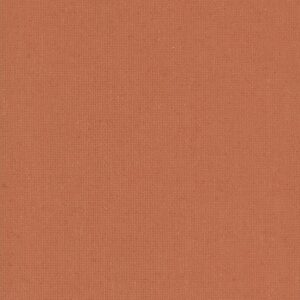Polaris Rust V