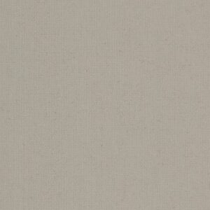 Polaris Taupe V