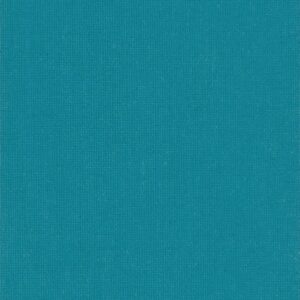 Polaris Teal V