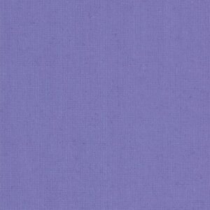 Polaris Violet V
